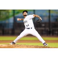 Columbia Fireflies' Eduardo Herrera in action