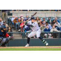 Somerset Patriots' Harrison Bader at bat