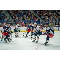 Springfield Thunderbirds battle the Hartford Wolf Pack