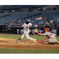 Tampa Tarpons' Brenny Escanio at bat