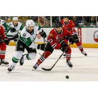 Texas Stars' Riley Barber versus Rockford IceHogs' Dave Gust