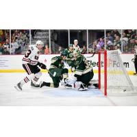 Rockford IceHogs battle the Iowa Wild