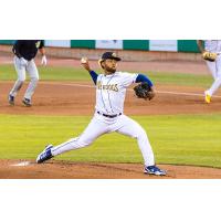 Charleston RiverDogs' Yoniel Curet in action