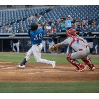 Tampa Tarpons' Ben Rortvedt in action