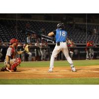 Tampa Tarpons' Anthony Hall at bat