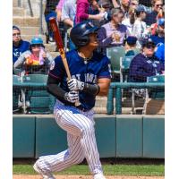 Jeisson Rosario of the Somerset Patriots watches his homer