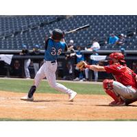 Ben Rortvedt takes a swing for the Tampa Tarpons