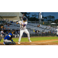 Mississippi Braves at the plate