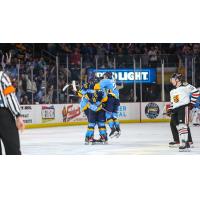 Toledo Walleye react after a goal against the Indy Fuel