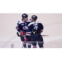 South Carolina Stingrays react following a goal