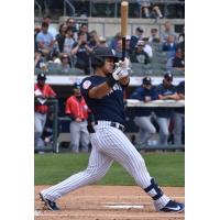 Somerset Patriots' Jasson Dominguez in action