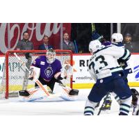 Reading Royals goaltender Pat Nagle