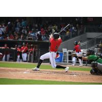 Fayetteville Woodpeckers outfielder Zachary Cole at bat