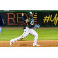 Myrtle Beach Pelicans' Branden Noriega in action