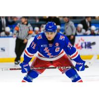 Kitchener Rangers forward Francesco Pinelli