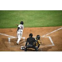 Fayetteville Woodpeckers' Luis Encarnacion in action