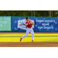 Charleston RiverDogs in action