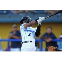 Biloxi Shuckers' Freddy Zamora in action