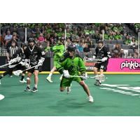 Saskatchewan Rush look for an opening against the Las Vegas Desert Dogs