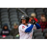 Dominic Fletcher at bat for the Amarillo Sod Poodles