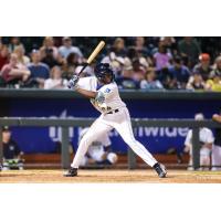 David Hollie at bat for the Columbia Fireflies