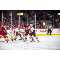 Allen Americans battle in front of the Kansas City Mavericks goal