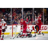 Jakov Novak of the Allen Americans reacts after scoring