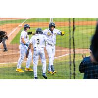 Charleston RiverDogs celebrate win