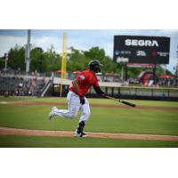 Fayetteville Woodpeckers in action