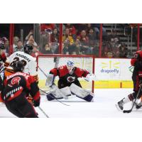 Cincinnati Cyclones' goaltender Beck Warm in action