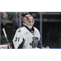 Jacksonville Icemen goaltender Parker Gahagen