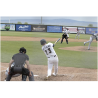 Tri-City Dust Devils' Gabe Matthews at bat