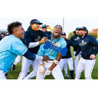 Charleston RiverDogs celebrate a walk-off win