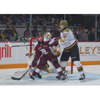 Peterborough Petes' J.R. Avon and North Bay Battalion's Alexander Lukin on game night