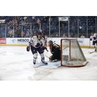 Youngstown Phantoms forward Shane Lachance reacts after a goal against the Chicago Steel