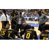 London Lightning Head Coach Doug Plumb