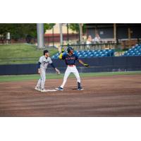 Rome Braves and Asheville Tourists on game day