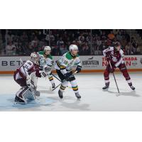 Peterborough Petes' Michael Simpson and London Knights' Sean McGurn in action