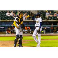 Charleston RiverDogs on game night