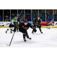 Defender Logan Hammett with the Brandon Wheat Kings