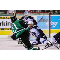 Texas Stars' Oskar Back in action