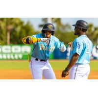 Charleston RiverDogs on base