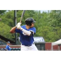 Evansville Otters at bat