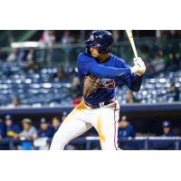 Mississippi Braves' Drew Lugbauer at bat