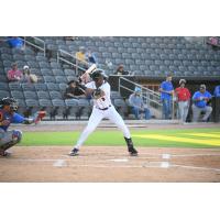 Fayetteville Woodpeckers' Narbe Cruz at bat