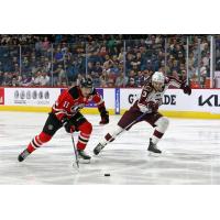 Quebec Remparts' James Malatesta versus Peterborough Petes' Cam Gauvreau