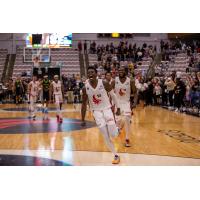 Calgary Surge's Trevon Scott and Simi Shittu celebrate win