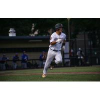 Mankato MoonDogs' Hunter Faildo in action