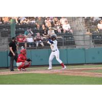 Tri-City Dust Devils' Alexander Ramirez at bat