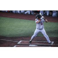 Mankato MoonDogs at bat